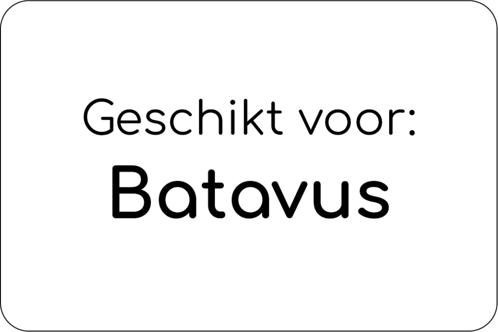 Batavus